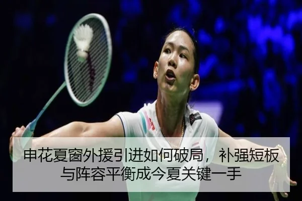申花夏窗外援引进如何破局，补强短板与阵容平衡成今夏关键一手